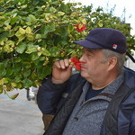 sergey, 61